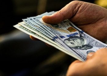 کنترل قیمت دلار در دستان چه کسی است؟