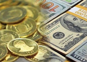 عیارسنجی اقدامات بانک مرکزی برای کنترل قیمت دلار و سکه / مرکز مبادله راهگشاست؟