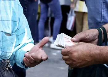 قیمت دلار امروز 2 آبان 1402/ عامل‌ تعیین‌کننده قیمت دلار چیست؟