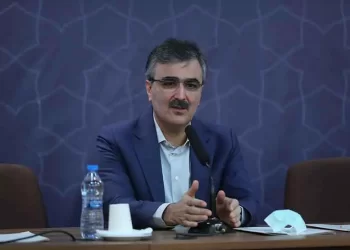 فرزین:‌ ارز مفت به کسی نمی‌دهیم
